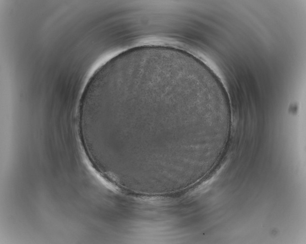 X0000089941045200707201858