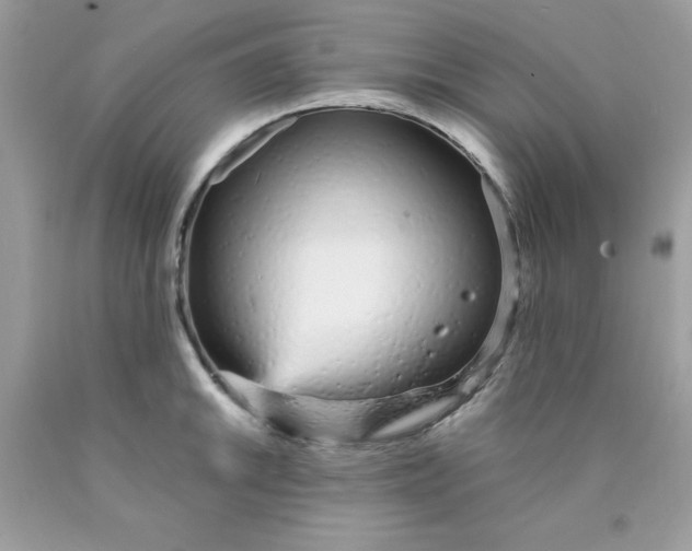 X0000089941046200707201858