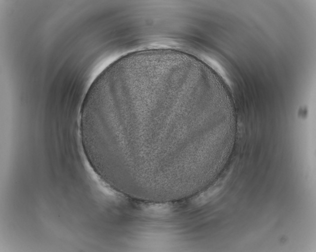 X0000089941047200707201858