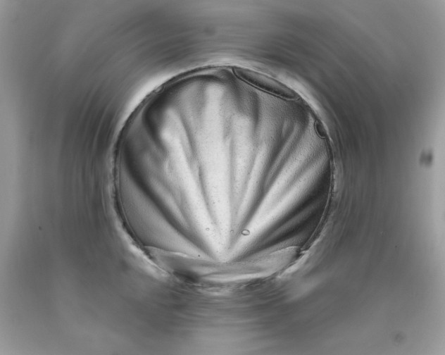 X0000089941048200707201858