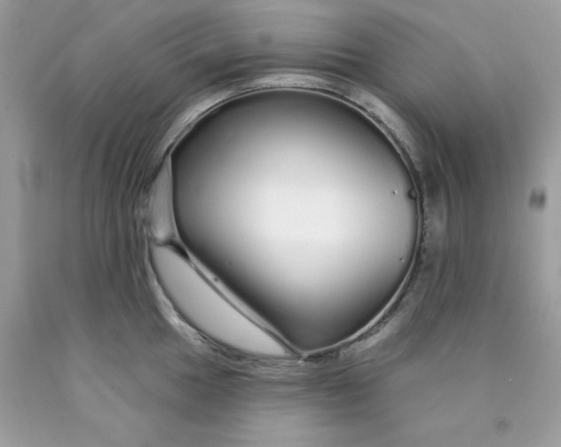 X0000089941049200707201858