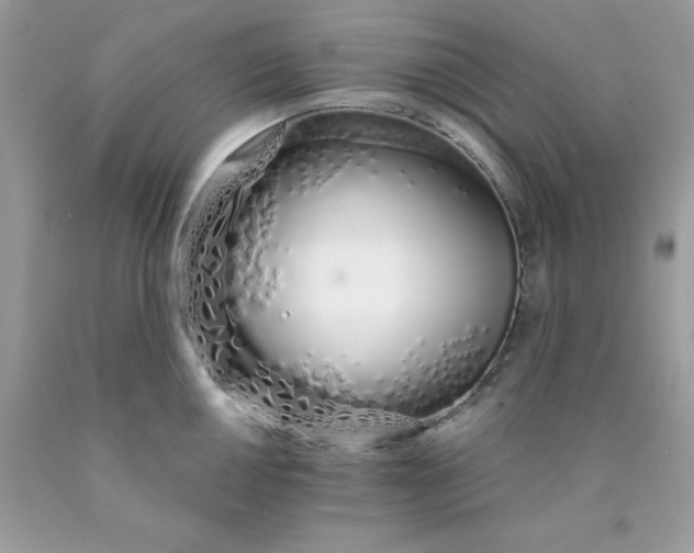 X0000089941050200707201858