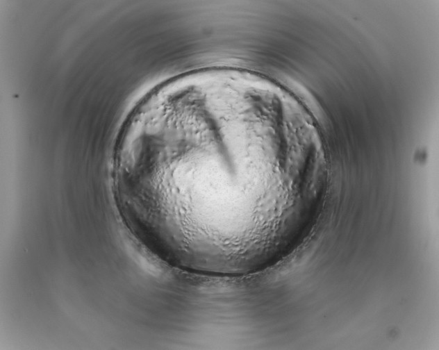 X0000089941051200707201859