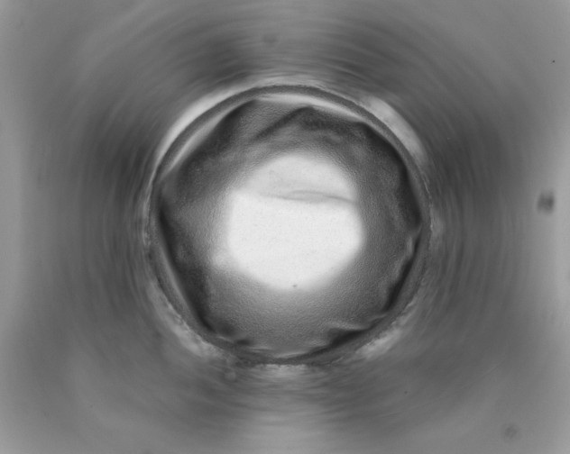 X0000089941052200707201859