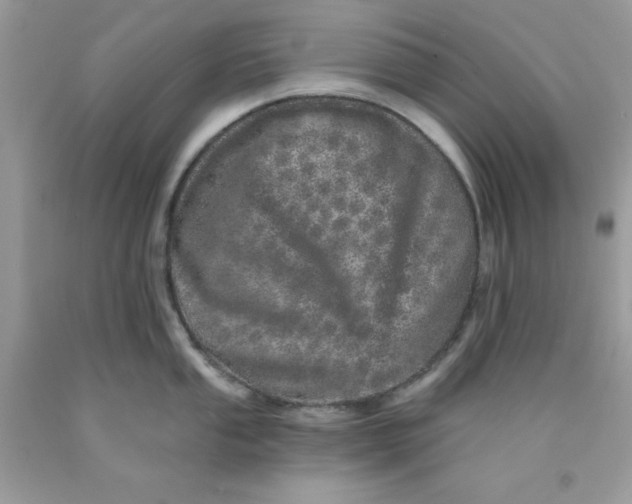 X0000089941053200707201859