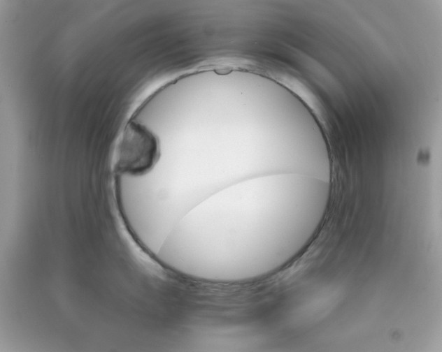 X0000089941055200707201859