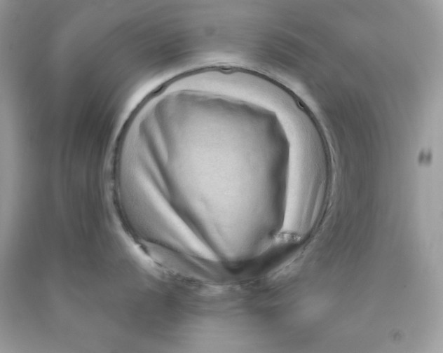 X0000089941056200707201859