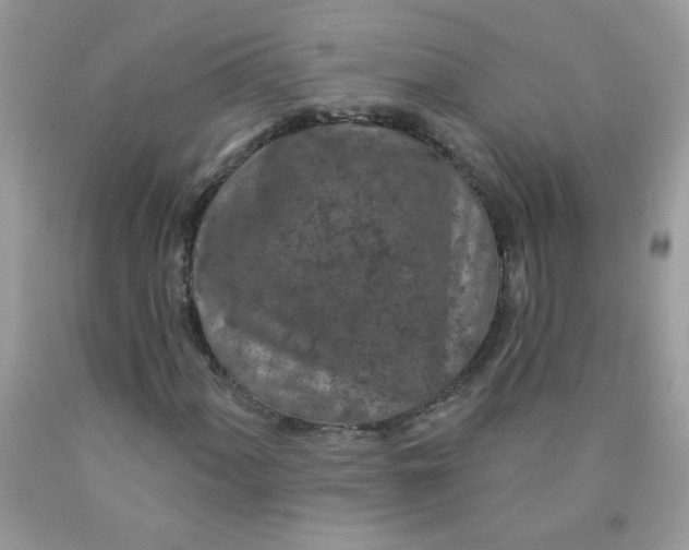 X0000089941060200707201858