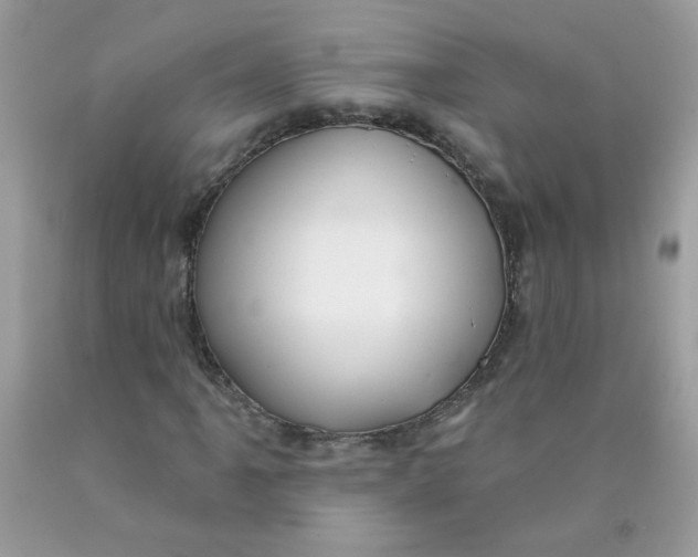 X0000089941061200707201858