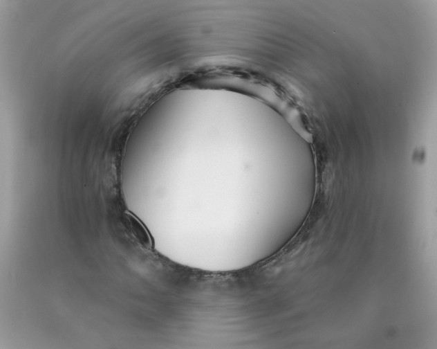 X0000089941062200707201858