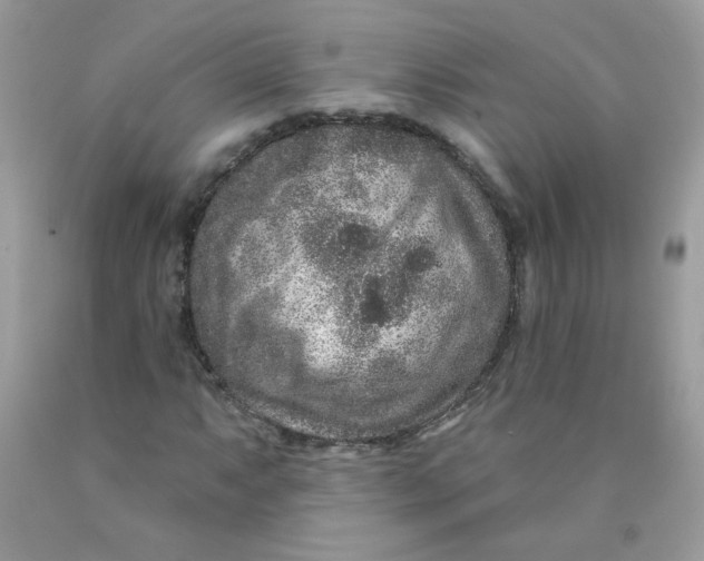 X0000089941063200707201858