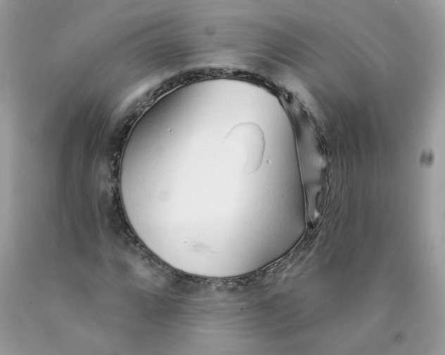 X0000089941064200707201858