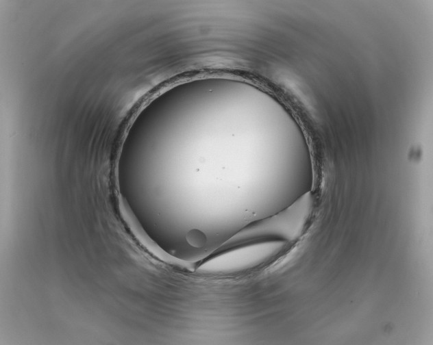 X0000089941065200707201858