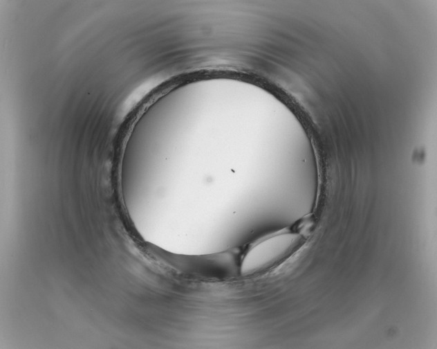 X0000089941066200707201858