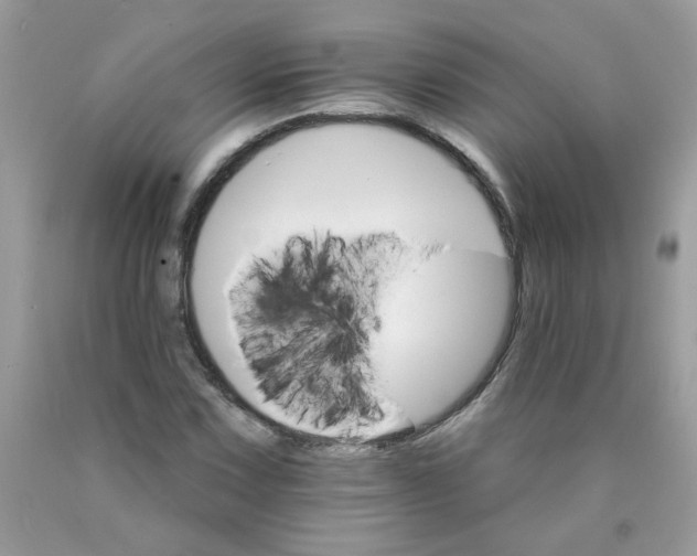 X0000089941067200707201858