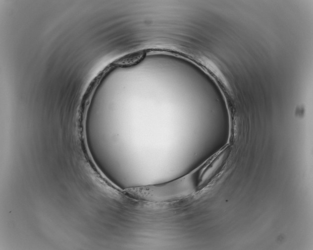 X0000089941068200707201858