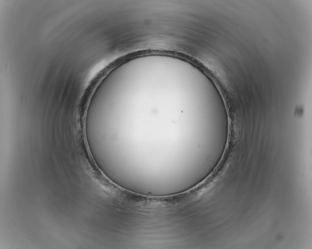 X0000089941070200707201858