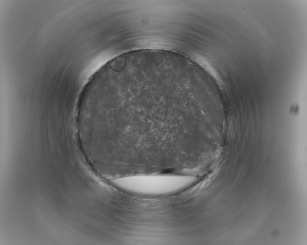 X0000089941071200707201858