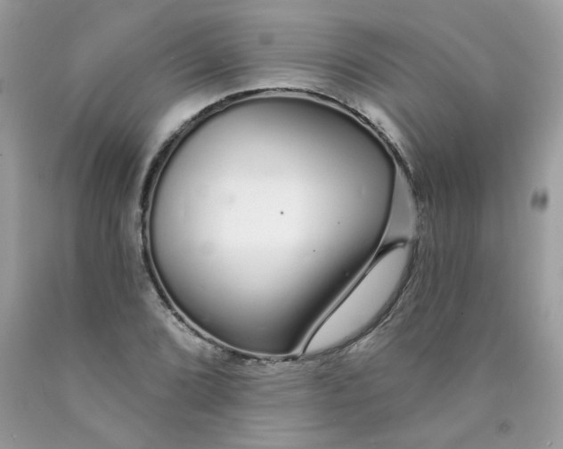 X0000089941072200707201858