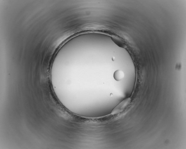 X0000089941073200707201858