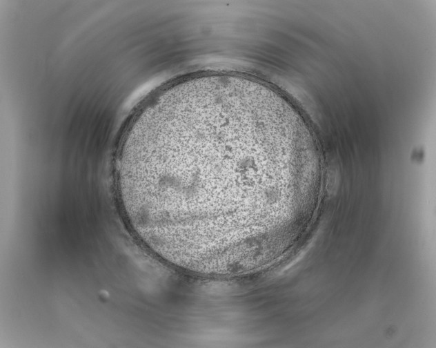 X0000089941074200707201858