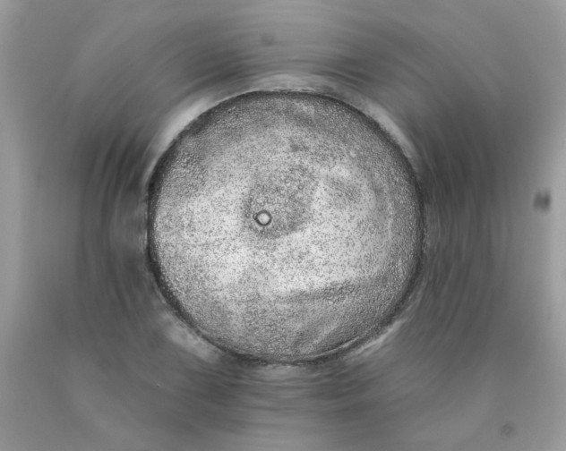 X0000089941075200707201858