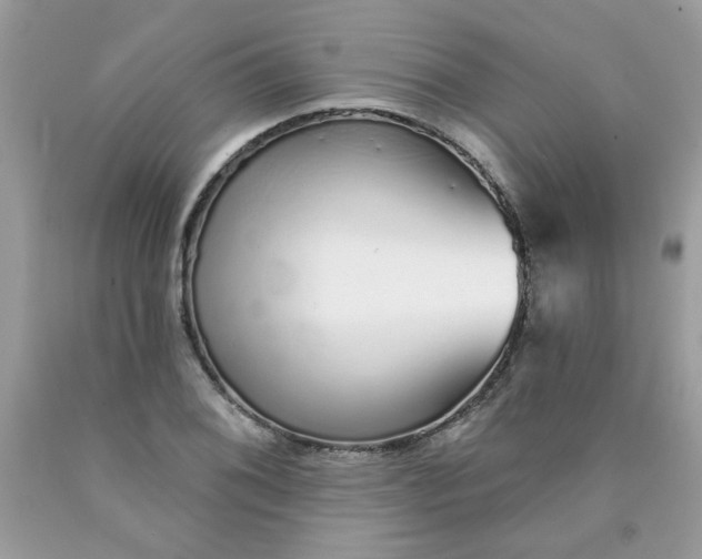 X0000089941076200707201858