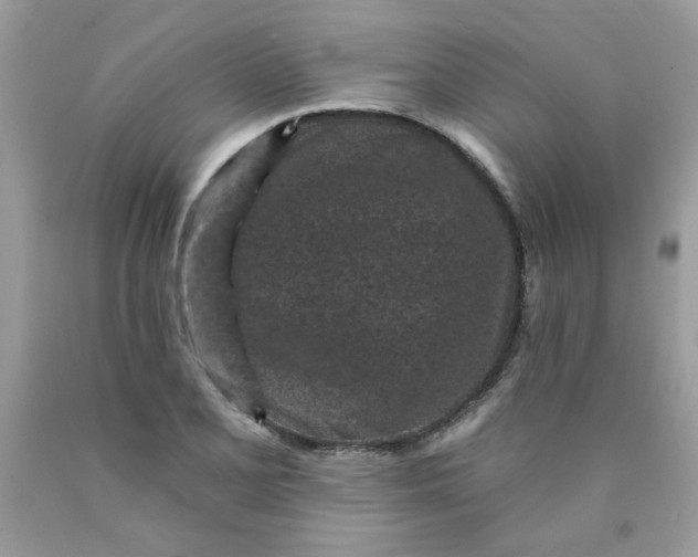 X0000089941077200707201858