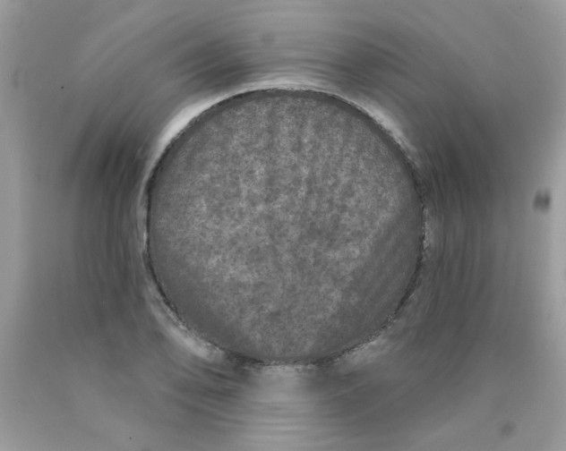 X0000089941078200707201858