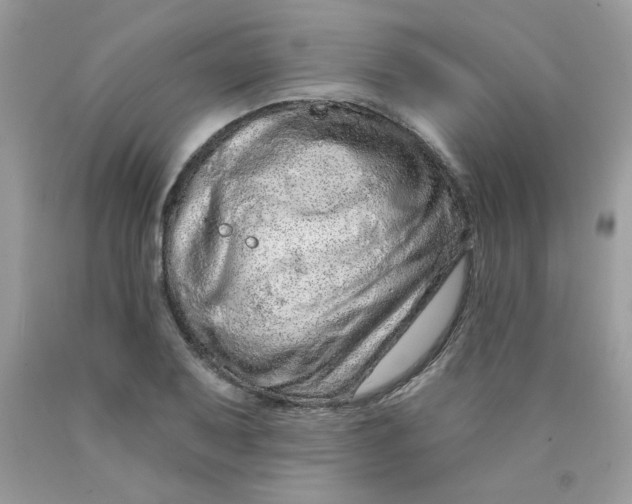 X0000089941079200707201858