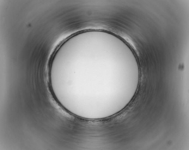 X0000089941080200707201858