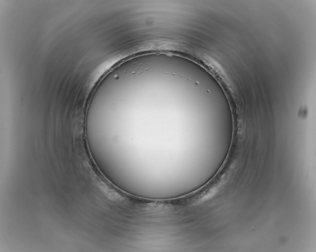 X0000089941081200707201858