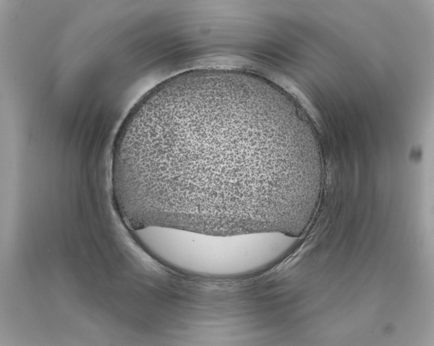 X0000089941083200707201858