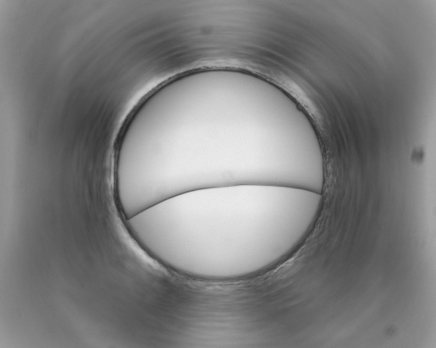 X0000089941084200707201858