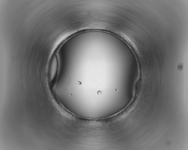 X0000089941085200707201858