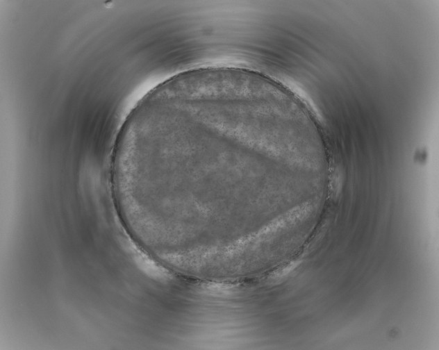 X0000089941086200707201857