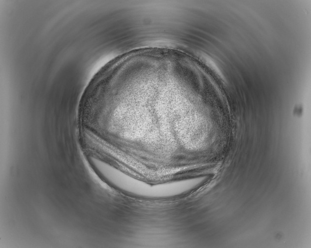 X0000089941087200707201857