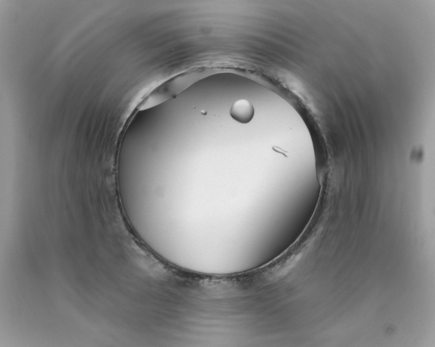 X0000089941089200707201857