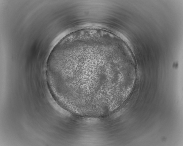 X0000089941090200707201857