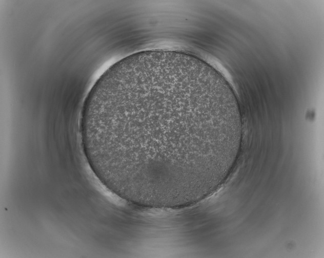 X0000089941091200707201857