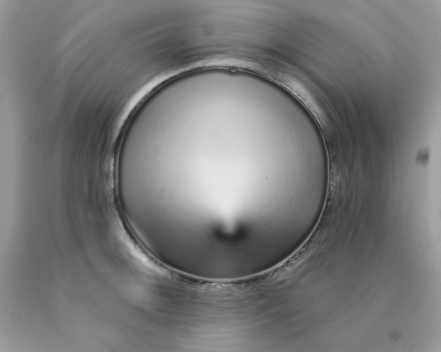 X0000089941092200707201857