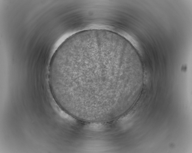 X0000089941094200707201857