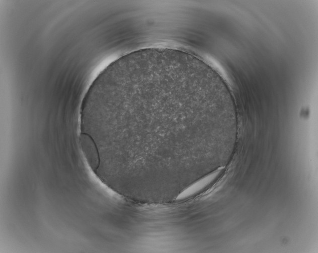 X0000089941095200707201857