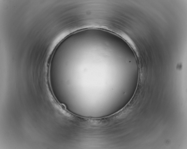 X0000089941096200707201857