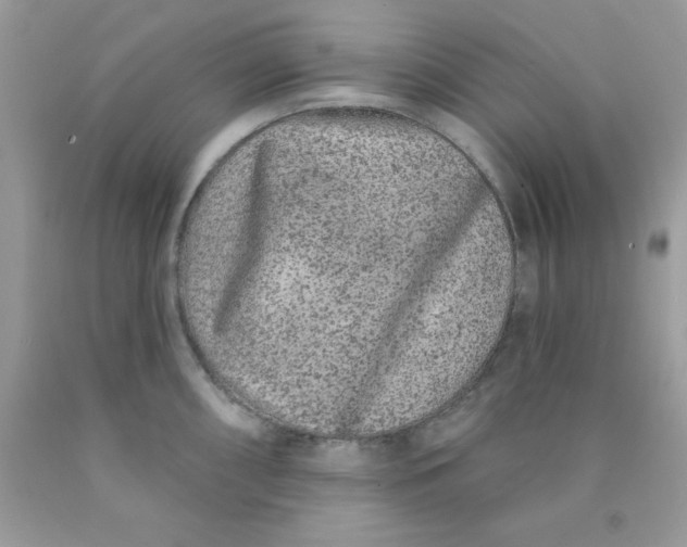 X0000089941098200707201857