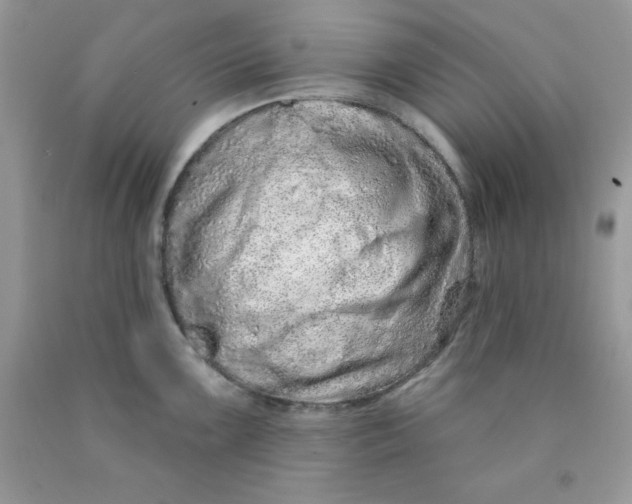 X0000089941099200707201857