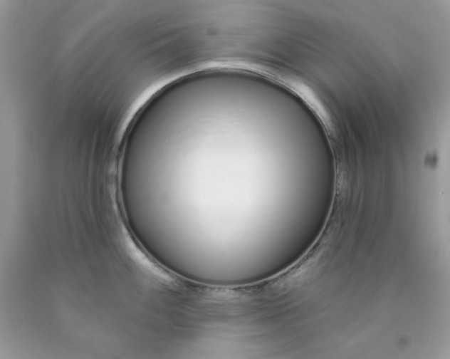 X0000089941100200707201857