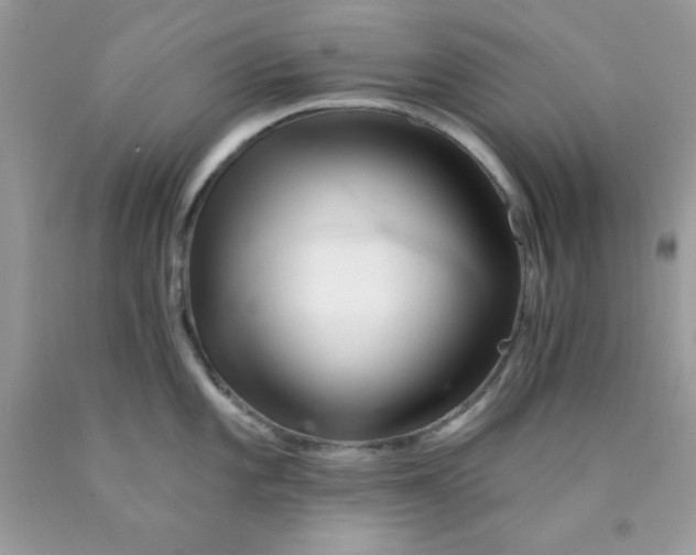 X0000089941101200707201857