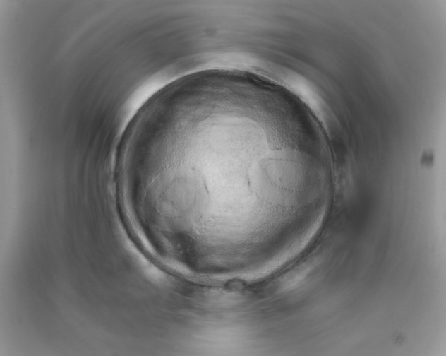 X0000089941103200707201857