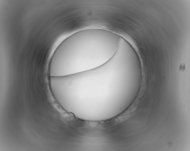 X0000089941104200707201857